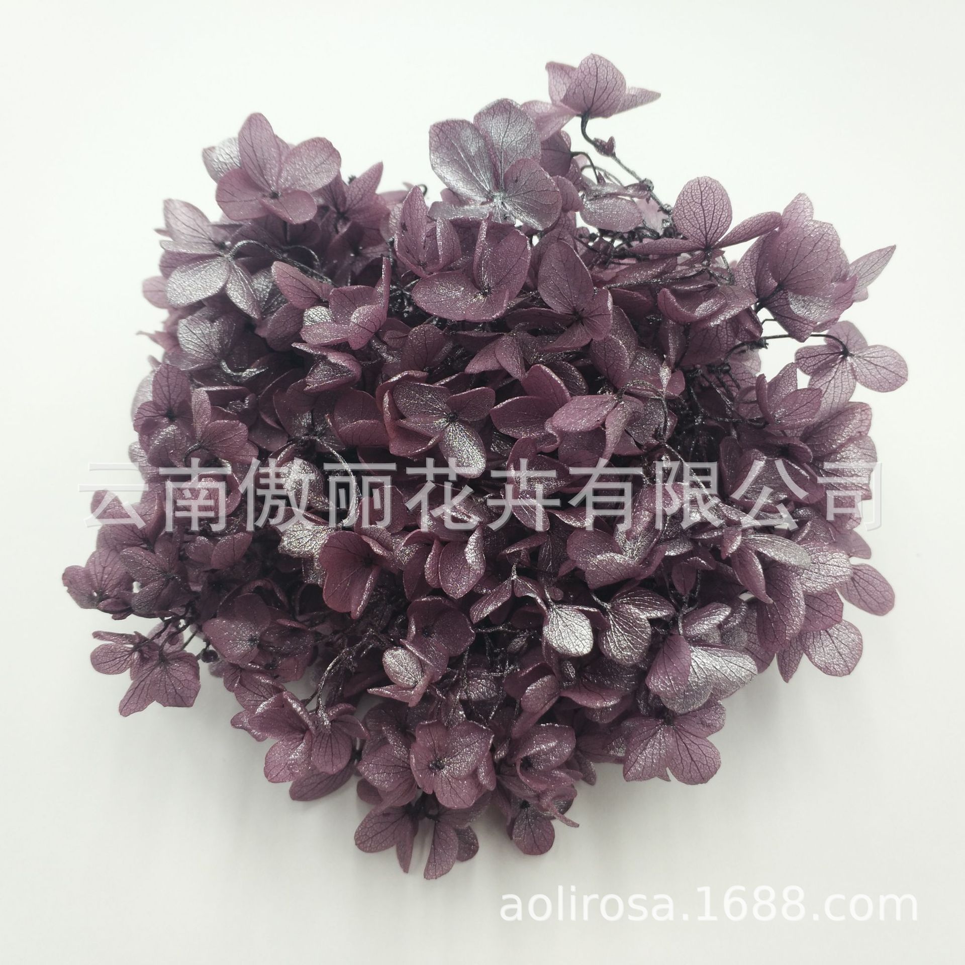 Grado A gradiente de madera Hortensia gradiente Hortensia flor eterna unicornio flor seca Hortensia flor eterna al por mayor