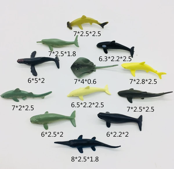 FAS013487 Shark
