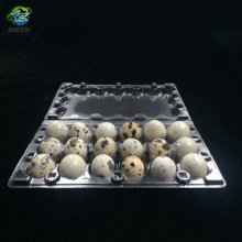 �S�����lPET ͸�����ܰ��b�ЬF؛ 18ö�b�g�����b���ܰ��b�ЬF؛