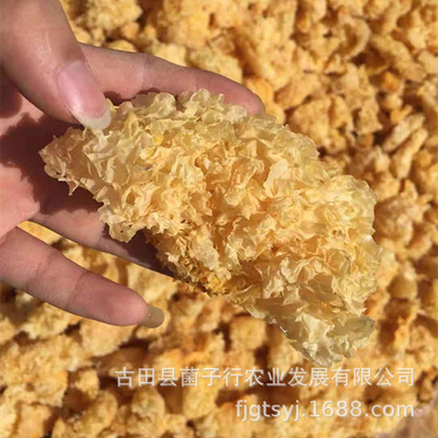 Furuta Tremella fresh dried food specialty wholesale Tremella Fungus Restaurant Tremella soup Raw materials Manufactor