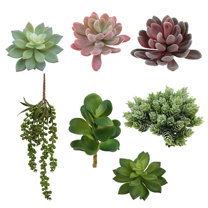 Cross-border Factory Sold Simulation Fleshy Plants Simulation Fleshy Flower Head Set Simulation Green Plants Can Set Color Cross-border Factory Sold Simulation Fleshy Plants Simulation Fleshy Flower Head Set Simulation Green Plants Can Set Color