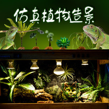 ���x������B���쾰���B���ָ׷���ֲ���������׃ɫ��ɳĮ�b�