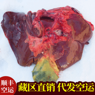 ��đ ��ţđ ���r��ţ��đ ��ţđƤ �����ຣ��ţđ ţđ��