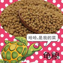 ������� ����������{�� ���Z�����Z���� �������Z