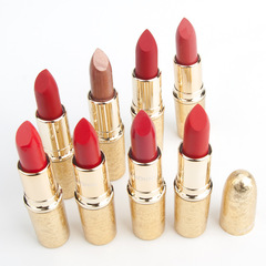 Cross-border makeup VERONNI gold tube lipstick moisturizing velvet matte matte lipstick bullet lipstick