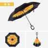 Transport, double-layer umbrella, custom made