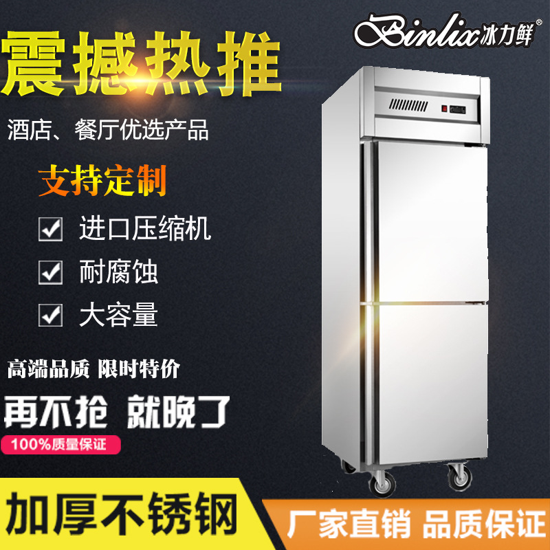 大容量冰力鲜商用不锈钢两门厨房冷柜 蔬菜肉类冷藏冷冻柜保鲜柜