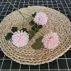 3 header chrysanthemum light pink