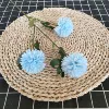 3 ball chrysanthemum blue