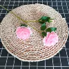 3 -headed peony pink