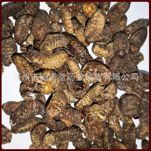 ���x���ș�����l ϓ� ��ϓ� �ع��� �����Q �����x ����r��