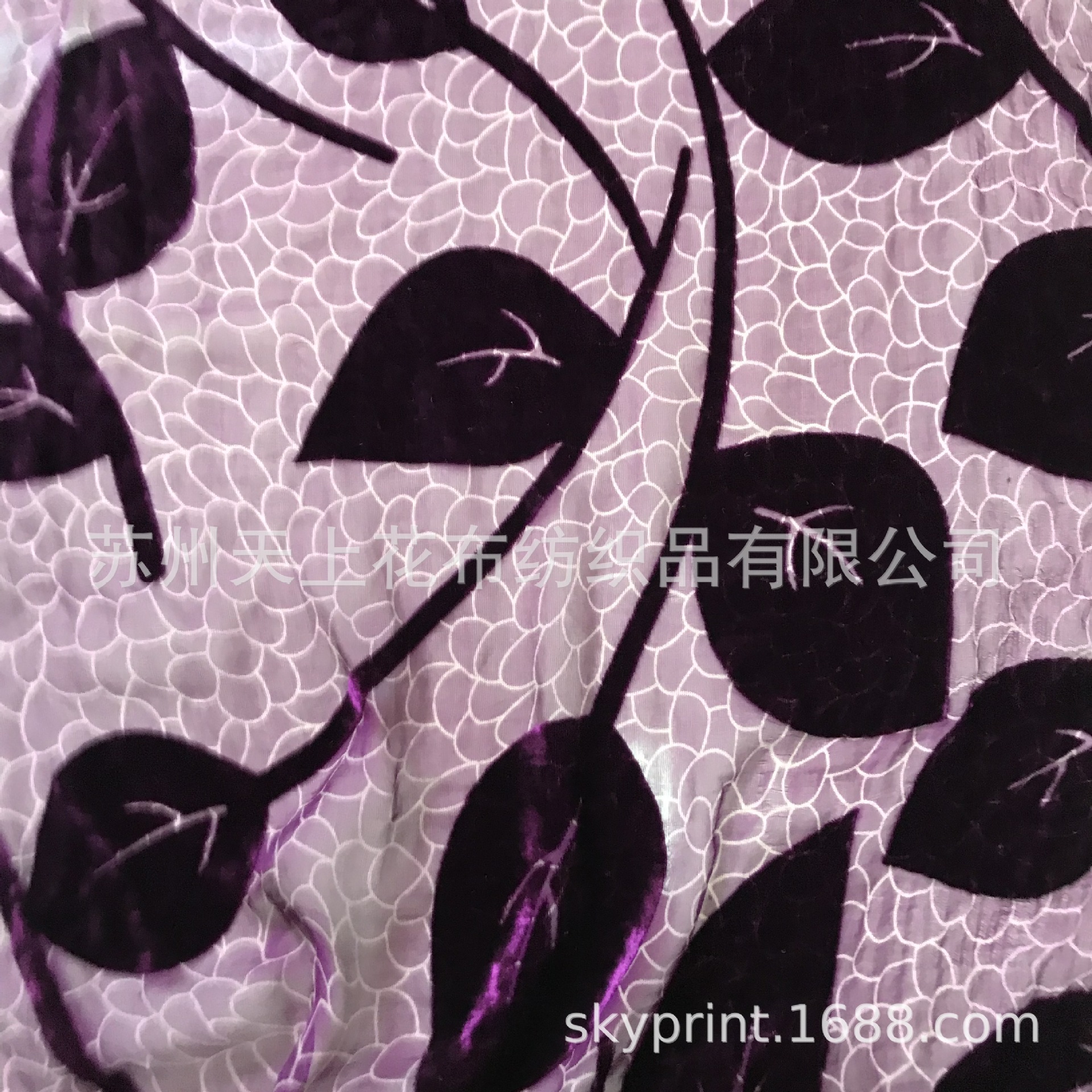 长期供应多种丝绒65111乔其绒锦绒印花布烂花绡花型新款女装布料