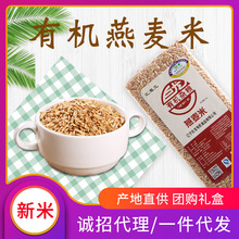 巨龙有机燕麦米真空370g  东北粗粮燕麦仁批发 杂粮燕麦米