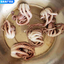 rˮaצ~L_~ ~ɟƵrˮaצ~