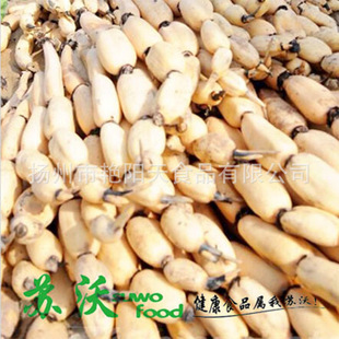 ���Sֱ�l��ˮɏź��ˮź�δ��b���ʳ���rźƬ؛Դ����