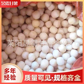 番薯类;瓜果类;速冻果蔬类