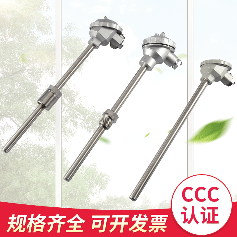 K型铠装热电偶 WRNK-131 Φ6*1000mm【维尔特仪表】