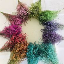 ɻ˲ɭϵɻ滨Ҿܛb廨100/l