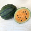 Zhongke Maohua Vegetables and Fruit Seed Rainbow No. 2 Watermelon Seed Ink Green Orange Meat Gift Garden