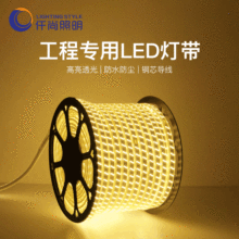 220v免驱动led灯带高压背胶自粘户外防水家用线槽工程高亮灯带