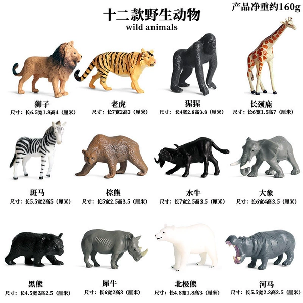 12 KZ wildlife
