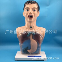 ����ʾ͸��ϴθ�C��ģ��/ϴθ����ģ��/���A�o������ģ�M��