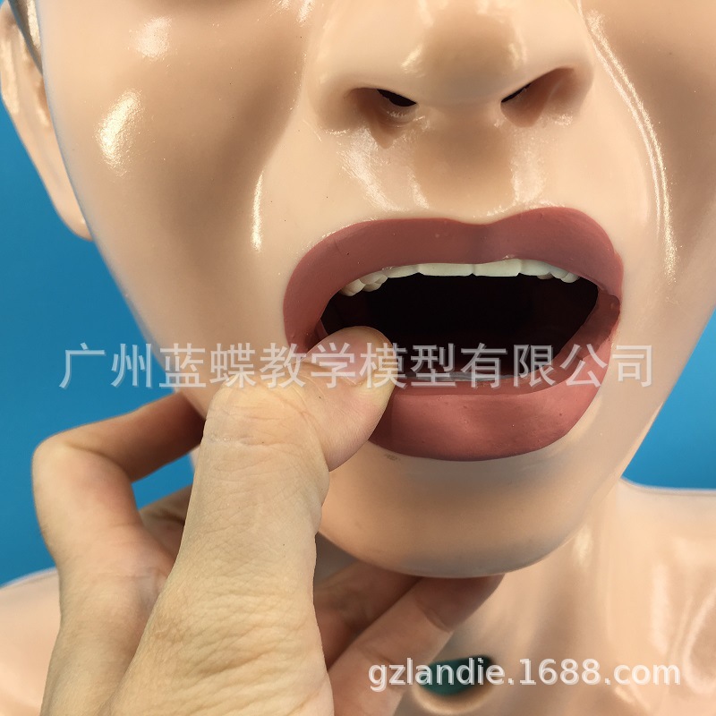 ����ʾ͸��ϴθ����ģ��/ϴθ��ϰģ��/������������ģ����