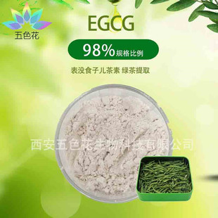 EGCG����98% ��]ʳ�Ӄ����� �G����ȡ�� ���� �탺����100g/��