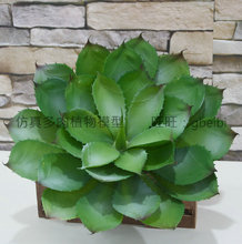 �����ֻ�¿�A���J�C����ֲ��ģ�ͳ������ֲ�������̨�[���b�