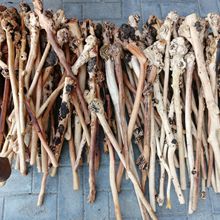 ϺڹľN ñNɽľNľְ 