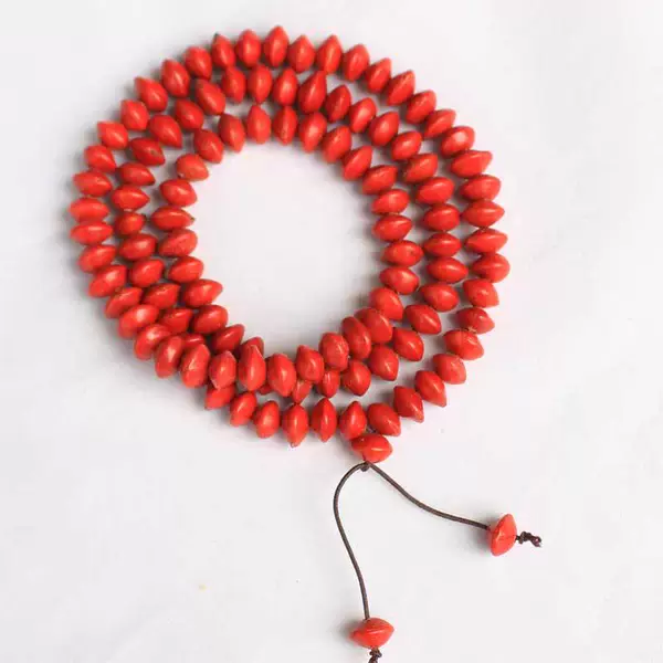 Blood Bodhi (Red Bean) Elastic Model
