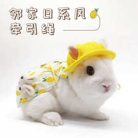 亚马逊新款宠物兔衣服 兔兔猫咪牵引绳服饰 出游拍照宠物兔衣服兔