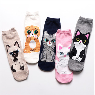 �羳؛Դ �¿ͨ��Ͳ�m �ﶬ���n����Ů�m��؈ϵ�����m�S�����l