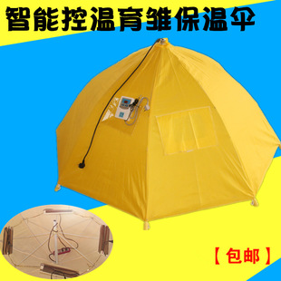 ���؂�С�u���r�����r������������CÓ���O���Ԅӿ؜؂��B�u�O��