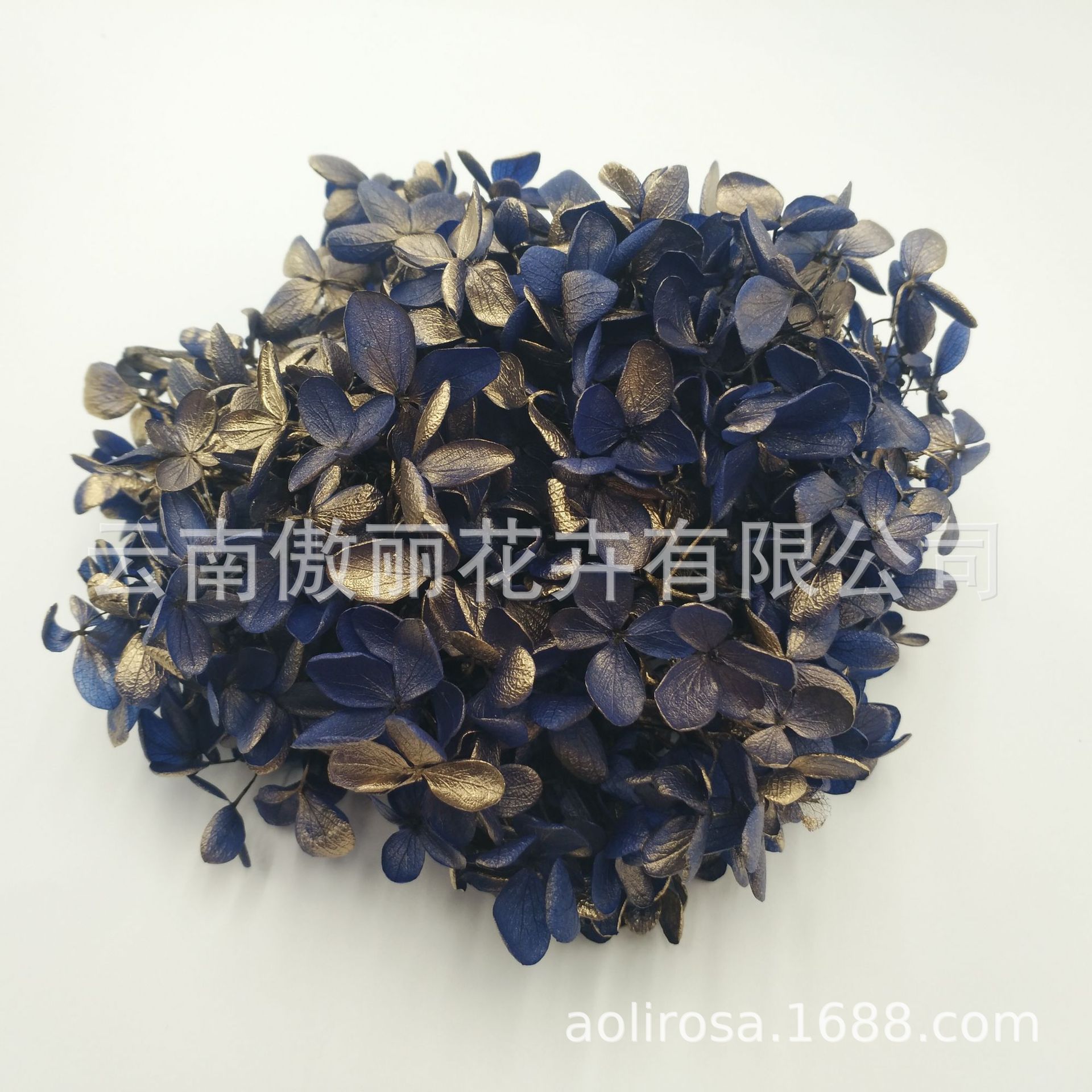 Grado A gradiente de madera Hortensia gradiente Hortensia flor eterna unicornio flor seca Hortensia flor eterna al por mayor