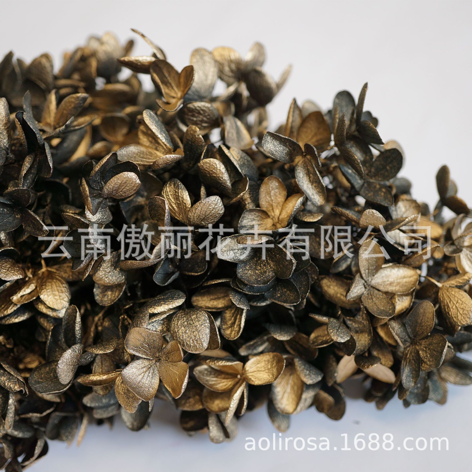 Grado A gradiente de madera Hortensia gradiente Hortensia flor eterna unicornio flor seca Hortensia flor eterna al por mayor