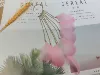 Розовый