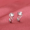 Fashionable universal earrings, accessory, European style, light luxury style