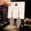 Long fashionable earrings with tassels, accessory, European style, diamond encrusted, internet celebrity, wholesale