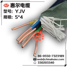 �S��ֱ�NYJV5*4 ������ϩ�^�������|