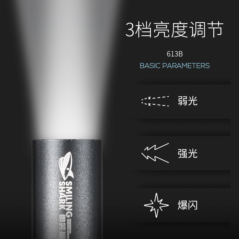 Маленький портативный фонарь, светодиодный дорожный светильник