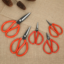 ̼i僲P䓼늾 ÏNòÿp öɫ