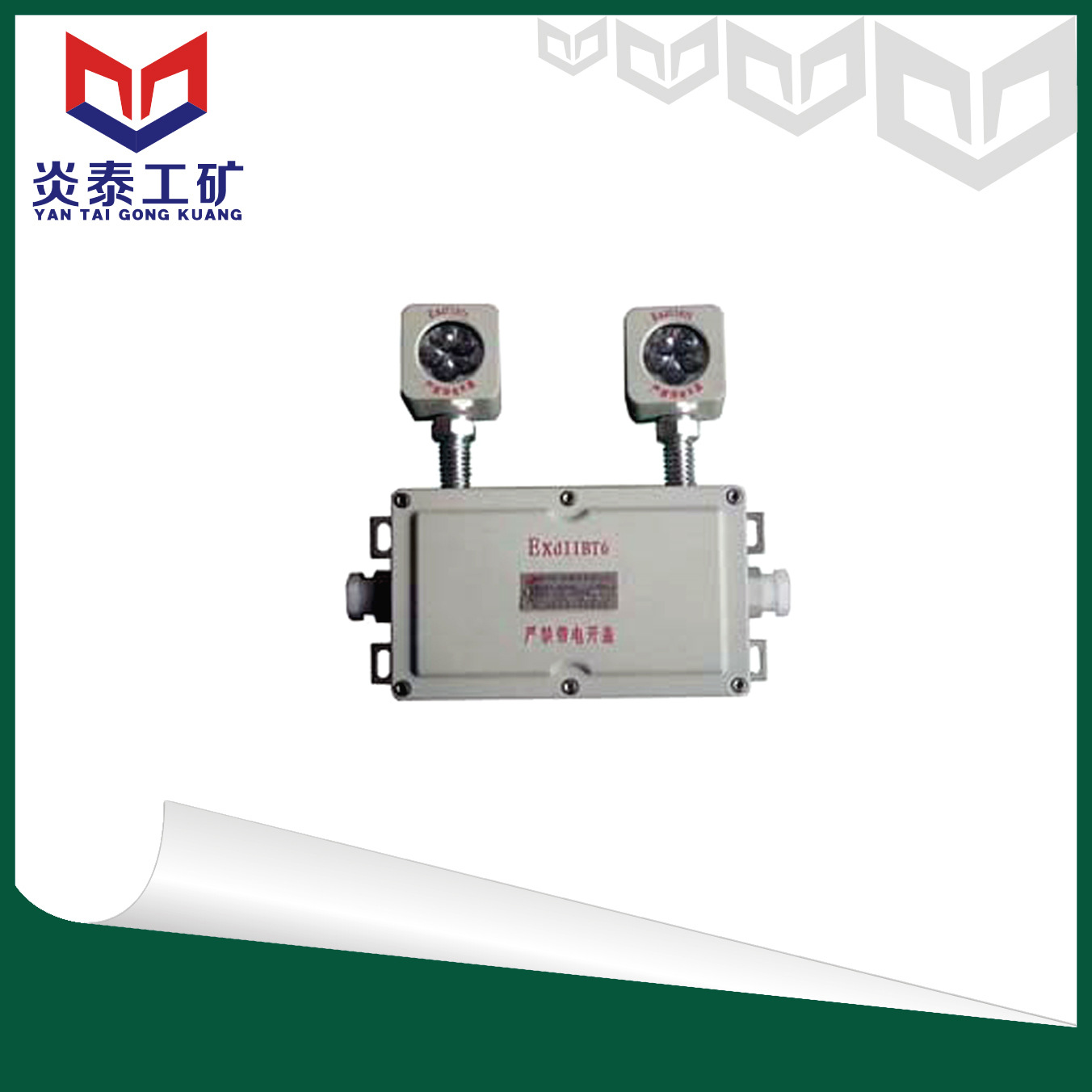 炎泰供应BAJ52防爆应急灯，防爆应急灯  应急灯