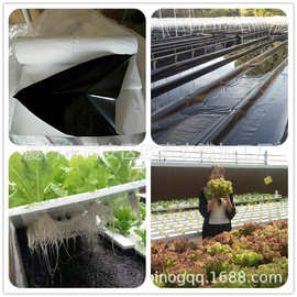 厂家供应上海有机种植用三层共挤黑白膜 养殖塑料薄膜水培膜