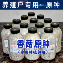 ʳ�þ� �㹽 ���N ����Nһ���N�����N�����N�ľ�^���Nĸ�Nԇ��