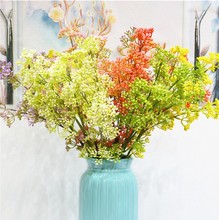 �����֦�����m��������Ҿ��bGֲ��������ĔzӰ���߻�c����