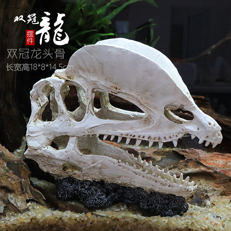 Dinosaurio cráneo escondite casa resina escalada mascota crawler agua hierba paisaje simulación cráneo pecera acuario decoración adornos