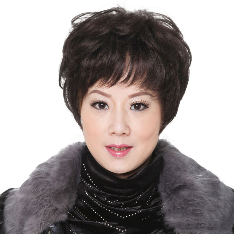 Mom Middle-aged and Elderly Short Hair Full-head Wig Women's Fluffy Short Curly Hair Fashion Middle-aged and Elderly Women's Headgear