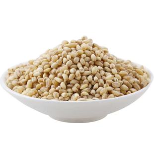 ������  ����  ����� һ�����l