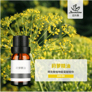 �����P�}�Ѿ���Dill Seed oil�����o�w��Ħ��޹ֲ��η�����ԭ��